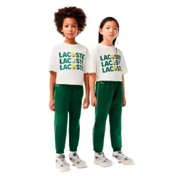 Lacoste Ribbed Cuff Straight Leg Joggers in Green