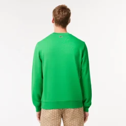 Lacoste Sh1420 Jmpr in Green