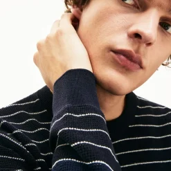 Lacoste Striped Textured Cotton Sweatshirt in Navy