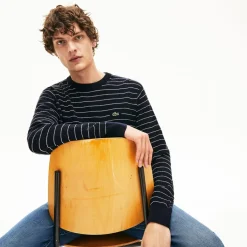 Lacoste Striped Textured Cotton Sweatshirt in Navy