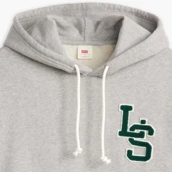 Levis Letterman Graphic Hoody in Grey