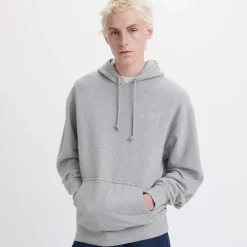 Levis Relaxed Graphic Hoody in Grey Marl