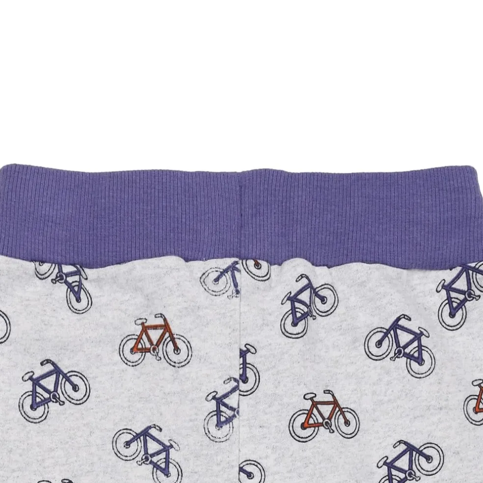 Lilly and Sid Bicycle Jogger in Multi