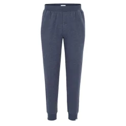 Linea Mens Jogger in Blue