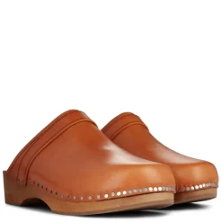 Marant Etoile Thalie Clog in Brown