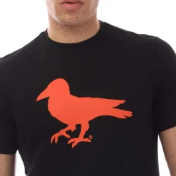 Modern Amusement Cali Crown Print T-Shirt in Black