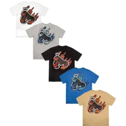Money 5 Pack Flame Sig Tees in Multi