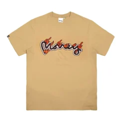 Money 5 Pack Flame Sig Tees in Multi