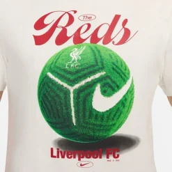 Nike HM Crew Neck Regular Fit T-Shirt in Beige