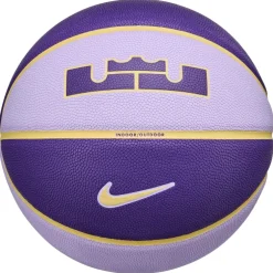 Nike Lebron All Court in Purple