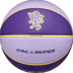 Nike Lebron All Court in Purple