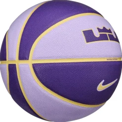 Nike Lebron All Court in Purple