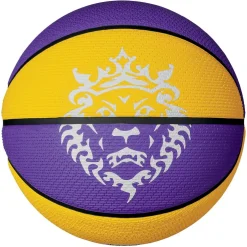 Nike Lebron Playground in Purple