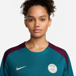Nike Paris Saint Germain Strike Top 2024 2025 Adults in Green