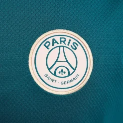 Nike Paris Saint Germain Strike Top 2024 2025 Adults in Green