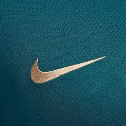 Nike Paris Saint Germain Strike Top 2024 2025 Adults in Green