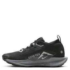 Nike Pegasus Trail 5 Gore Tex Flat Heel Trainers in Black