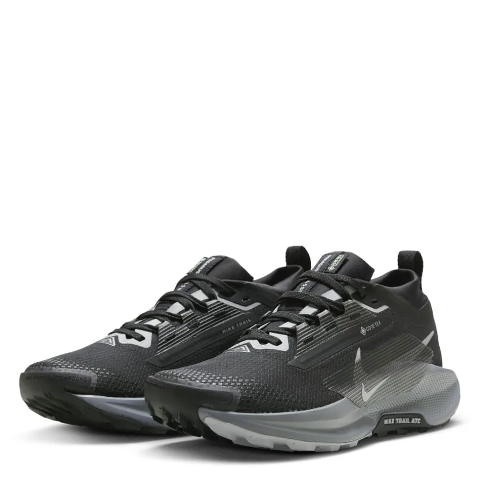 Nike Pegasus Trail 5 Gore Tex Flat Heel Trainers in Black