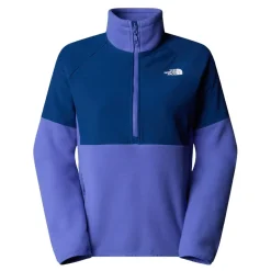 North Face Glacier Heavyweight Mock Neck Sweatshirt in Blue