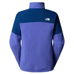 North Face Glacier Heavyweight Mock Neck Sweatshirt in Blue