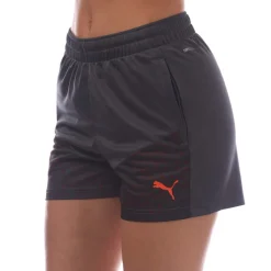 Puma Manchester City 2023/24 Training Shorts in Grey