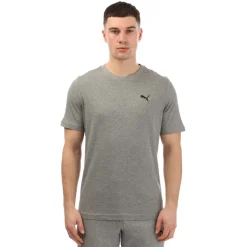Puma Small Logo T-Shirt in Grey