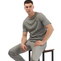 Puma Small Logo T-Shirt in Grey