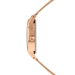 Radley Msh Wtch st in Gold