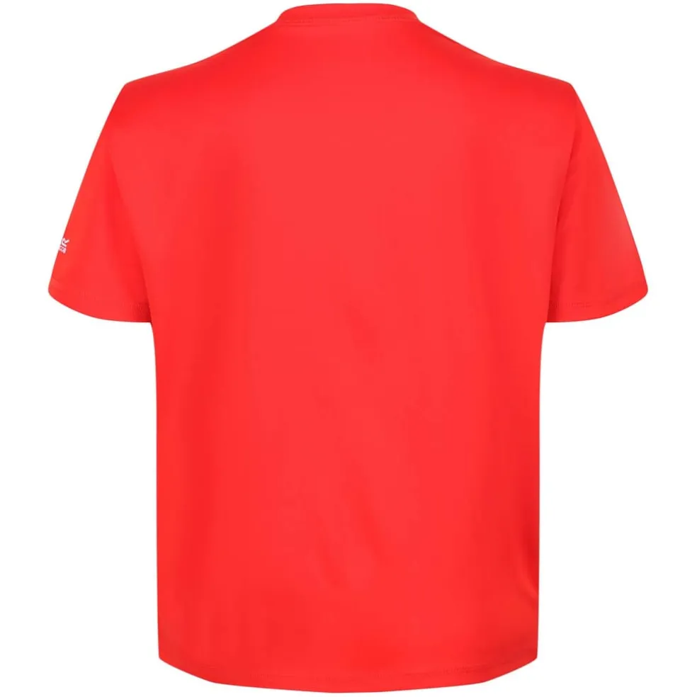 Regatta Juniors Alvarado VI T-Shirt in Red