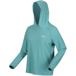Regatta Montes Pullover Hoodie in Blue