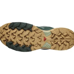 Salomon Mens Xultra 360 Edge GorE-Tex Walking Shoe in Grey