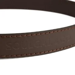 SoulCal Logo Belt in Brown
