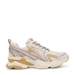 Steve Madden Speedster-E Trainers in Taupe