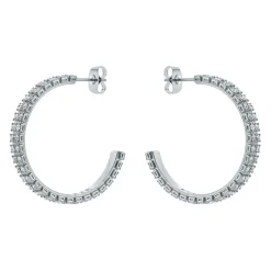 Ted Baker Mellia Earngs in Silver