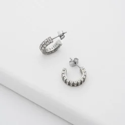 Ted Baker Mellrie Earngs in Silver