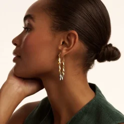 Ted Baker Pemia Earrings in Multi