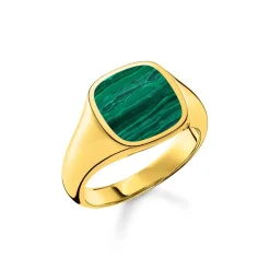 Thomas Sabo Signet Ring in Gold