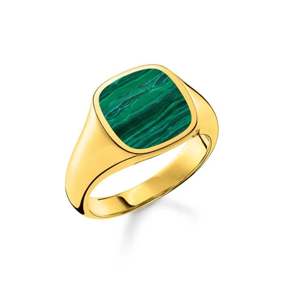 Thomas Sabo Signet Ring in Gold