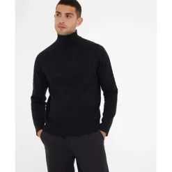 Threadbare Turtleneck Regular Fit Sweater in Black