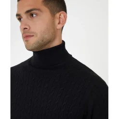 Threadbare Turtleneck Regular Fit Sweater in Black