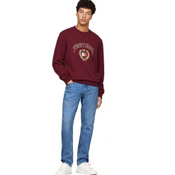 Tommy Hilfiger Logo Embroidery Crewneck Sweatshirt in Purple