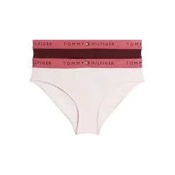 Tommy Hilfiger Pack Of Bikini Briefs Junior in Multi