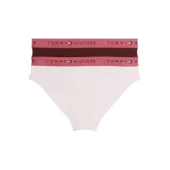 Tommy Hilfiger Pack Of Bikini Briefs Junior in Multi