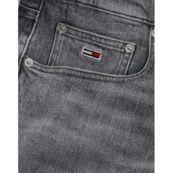 Tommy Jeans Regular Str Bi0177 in Black