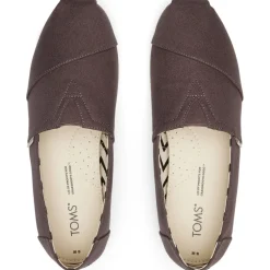 Toms Canvasas Shoes in Grey